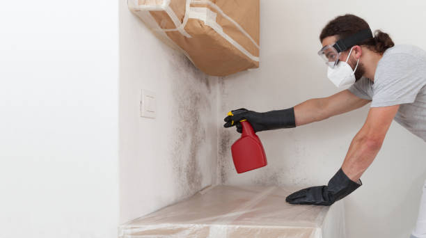 Professional Attic Mold Removal technician working in Henrico, NC