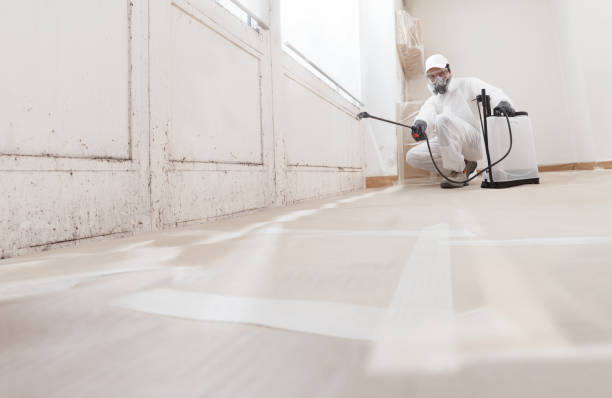 24/7 Emergency Attic Mold Removal experts in Henrico, NC