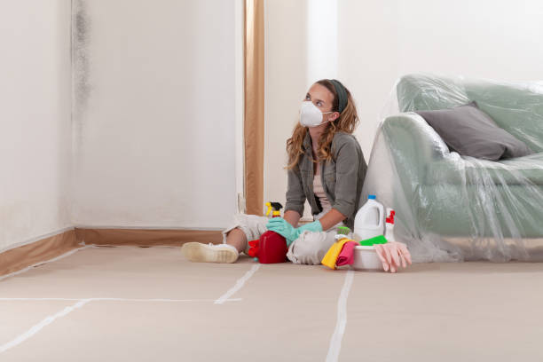 Reliable Attic Mold Removal contractor in Henrico, NC by WQB Mold Removal