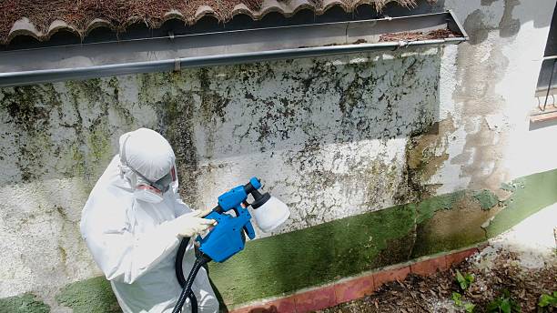 Top rated local Attic Mold Removal specialists in Henrico, NC